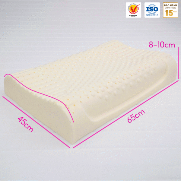 GỐI NẰM GAI NHỎ MASAGE CAO SU THIÊN NHIÊN THẮNG LỢI - Hình ảnh 2