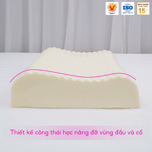 GỐI NẰM GAI NHỎ MASAGE CAO SU THIÊN NHIÊN THẮNG LỢI - Hình ảnh 4