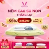 anh nem cao su non