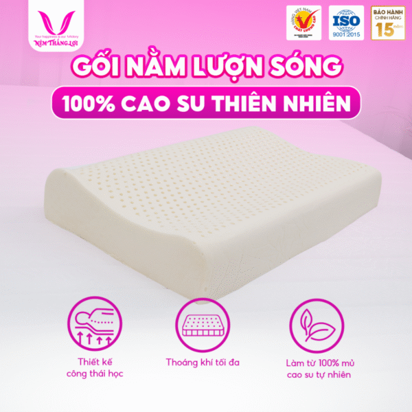 GỐI NẰM LƯỢNG SÓNG CAO SU THIIÊN NHIÊN THẮNG LỢI