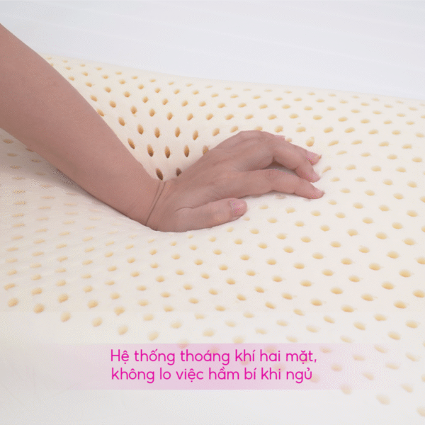 GỐI NẰM LƯỢNG SÓNG CAO SU THIIÊN NHIÊN THẮNG LỢI - Hình ảnh 4