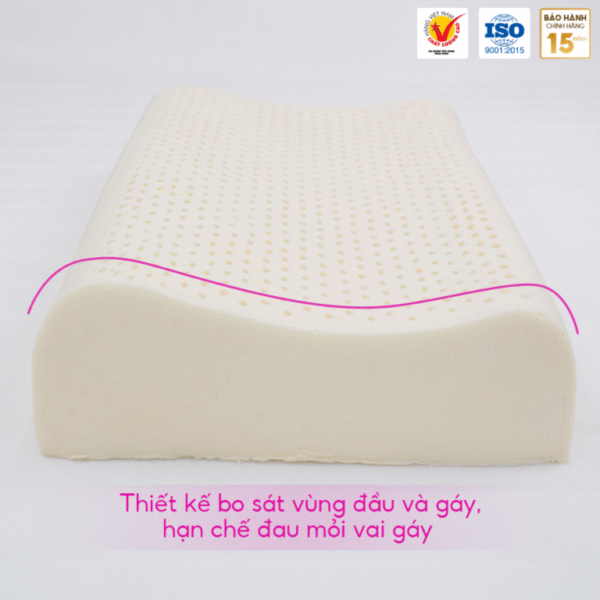 GỐI NẰM LƯỢNG SÓNG CAO SU THIIÊN NHIÊN THẮNG LỢI - Hình ảnh 5