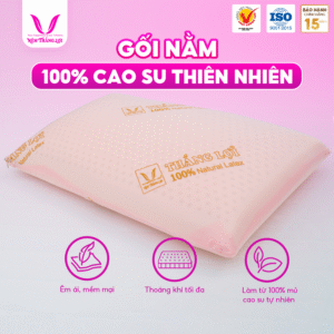 GỐI NẰM OVAL CAO SU THIÊN NHIÊN THẮNG LỢI