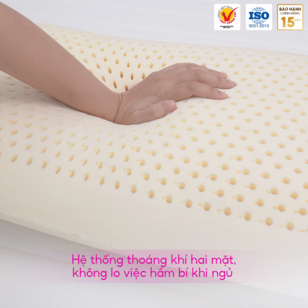 GỐI NẰM OVAL CAO SU THIÊN NHIÊN THẮNG LỢI - Hình ảnh 4