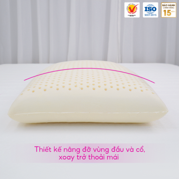 GỐI NẰM OVAL CAO SU THIÊN NHIÊN THẮNG LỢI - Hình ảnh 3