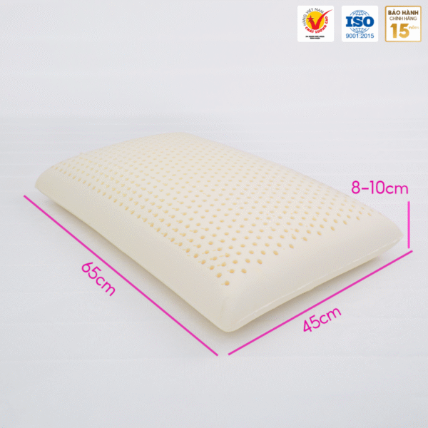 GỐI NẰM OVAL CAO SU THIÊN NHIÊN THẮNG LỢI - Hình ảnh 2