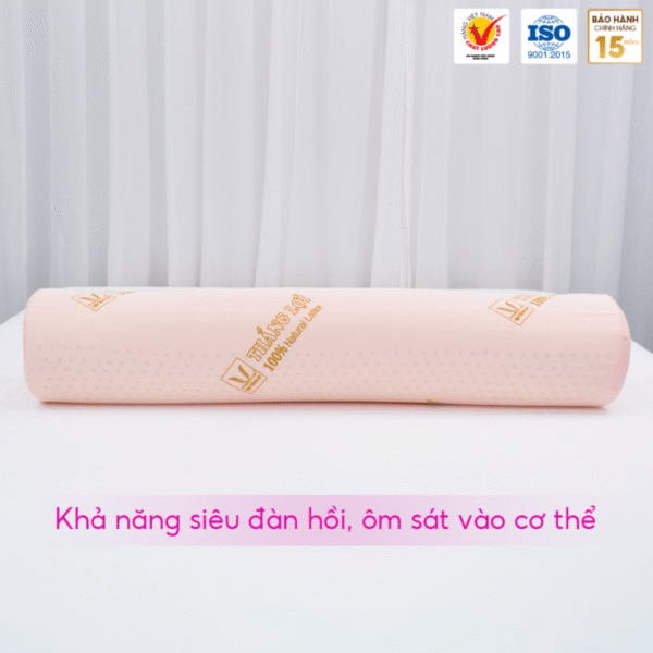GỐI ÔM CAO SU THIÊN NHIÊN THẮNG LỢI - Hình ảnh 2