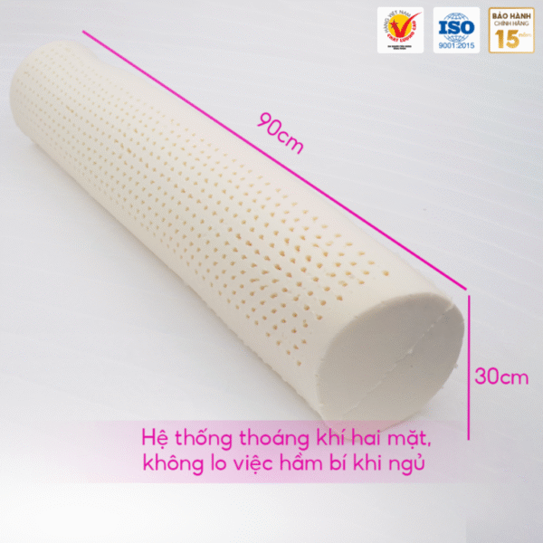 GỐI ÔM CAO SU THIÊN NHIÊN THẮNG LỢI - Hình ảnh 3