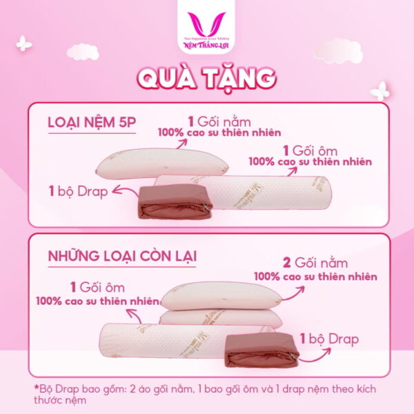 NỆM 100% CAO SU THIÊN NHIÊN THẮNG LỢI TITI – DOUBLE FUNCTION - Hình ảnh 5