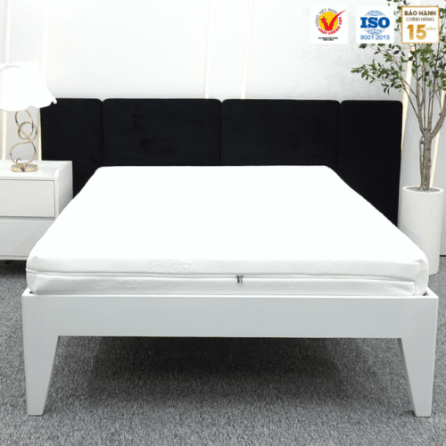 nem cao su nhan tao gam nhung thang loi 1