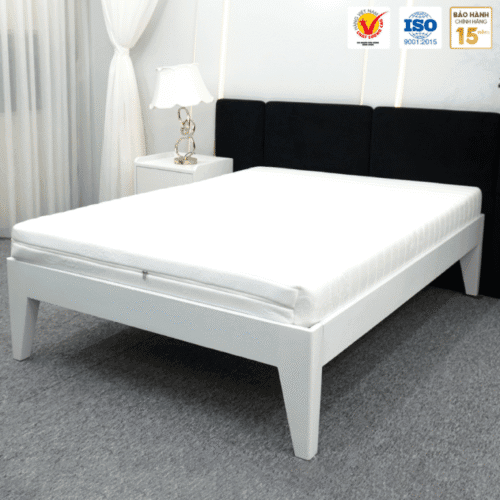 nem cao su nhan tao gam nhung thang loi 2