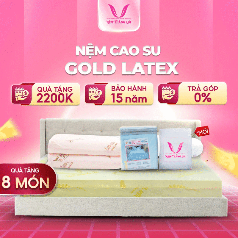 NỆM CAO SU GOLED LATEX THẮNG LỢI