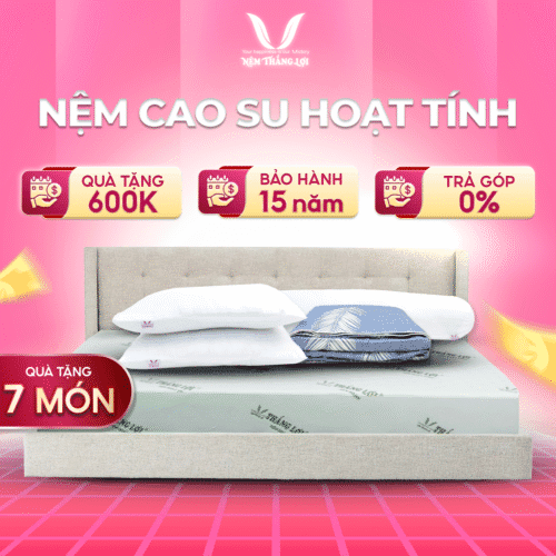 NỆM CAO SU HOẠT TÍNH THẮNG LỢI