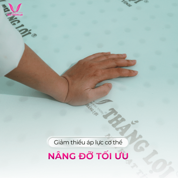 NỆM CAO SU HOẠT TÍNH THẮNG LỢI - Hình ảnh 2
