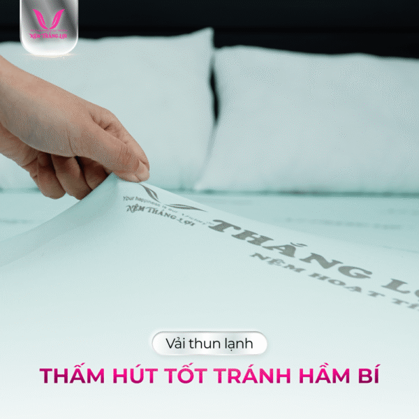NỆM CAO SU HOẠT TÍNH THẮNG LỢI - Hình ảnh 3