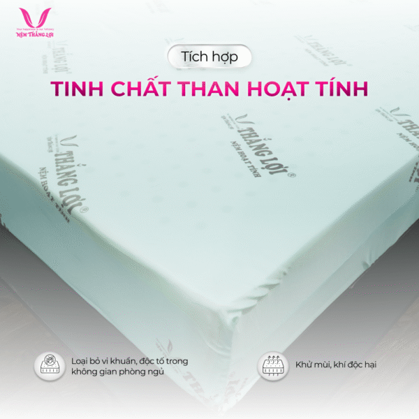 NỆM CAO SU HOẠT TÍNH THẮNG LỢI - Hình ảnh 4
