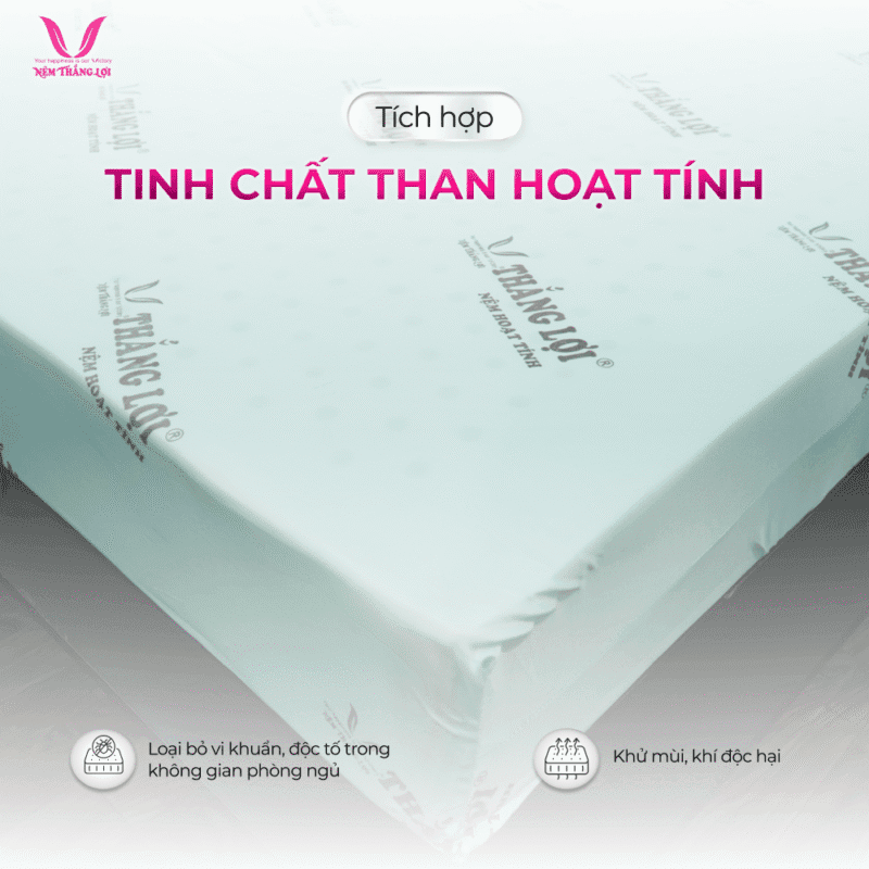 NỆM CAO SU HOẠT TÍNH THẮNG LỢI - Ảnh 5