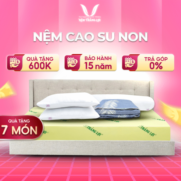 NỆM CAO SU NON THẮNG LỢI