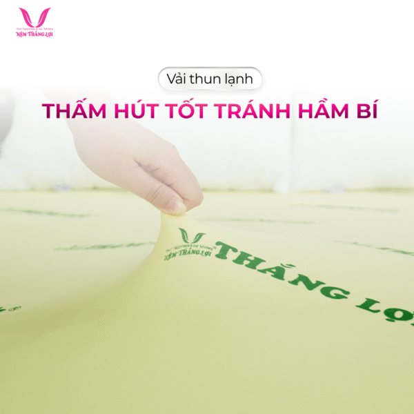 NỆM CAO SU NON THẮNG LỢI - Hình ảnh 5