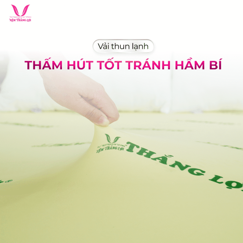 NỆM CAO SU NON THẮNG LỢI - Ảnh 6