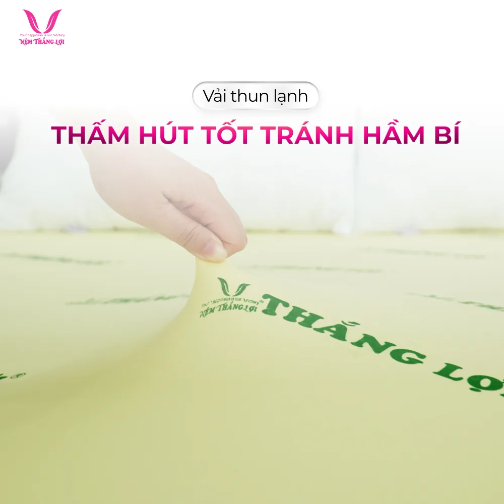 NỆM CAO SU NON THẮNG LỢI - Ảnh 6