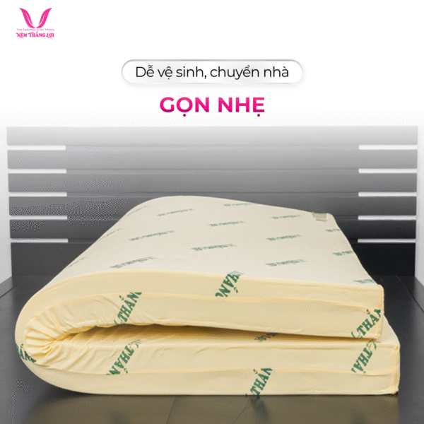 NỆM CAO SU NON THẮNG LỢI - Hình ảnh 2