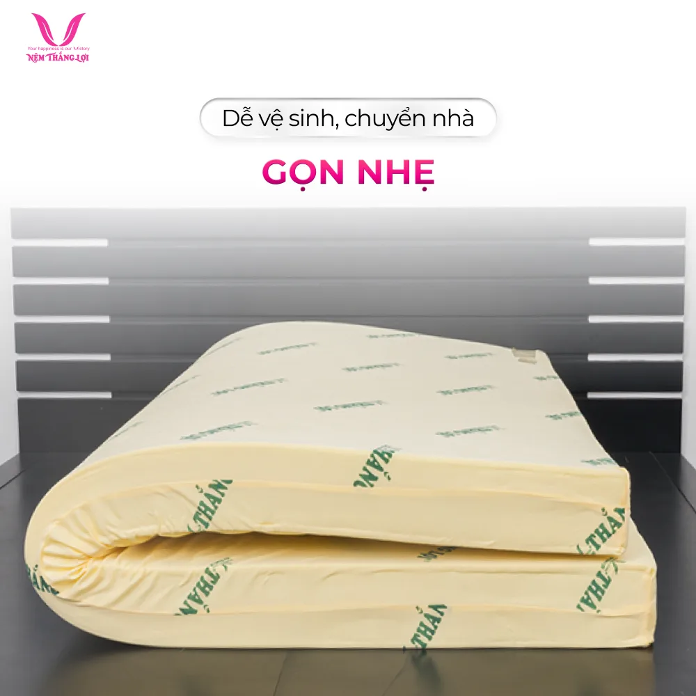 Nệm cao su non Thắng Lợi gọn nhẹ dễ di chuyển