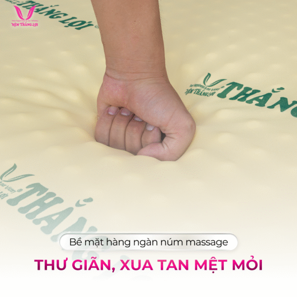 NỆM CAO SU NON MASAGE THẮNG LỢI - Hình ảnh 2