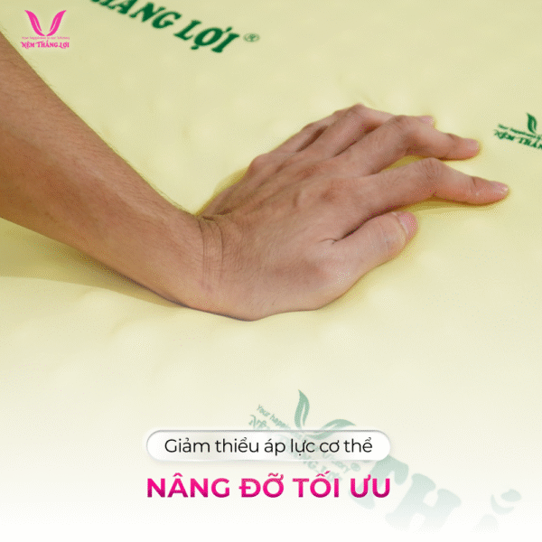 NỆM CAO SU NON MASAGE THẮNG LỢI - Hình ảnh 3