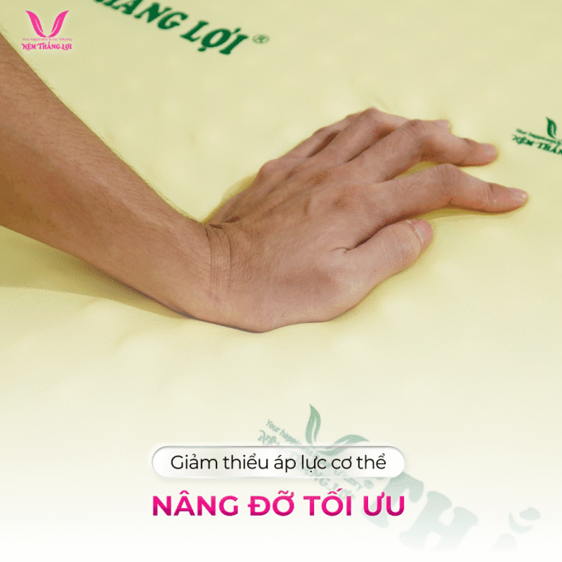 NỆM CAO SU NON MASSAGE THẮNG LỢI - Ảnh 4