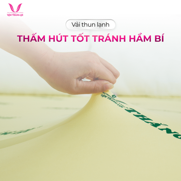 NỆM CAO SU NON MASAGE THẮNG LỢI - Hình ảnh 4