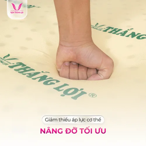 nemthangloichinhhang.vn cao su non nang do toi uu