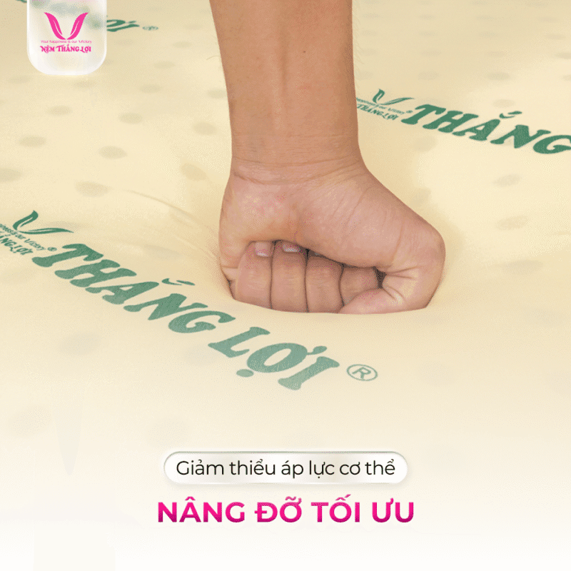 NỆM CAO SU NON THẮNG LỢI - Ảnh 4