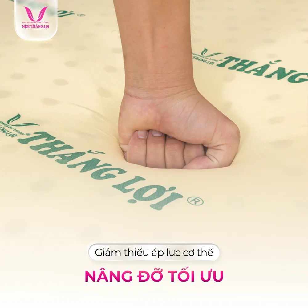 NỆM CAO SU NON THẮNG LỢI - Ảnh 4