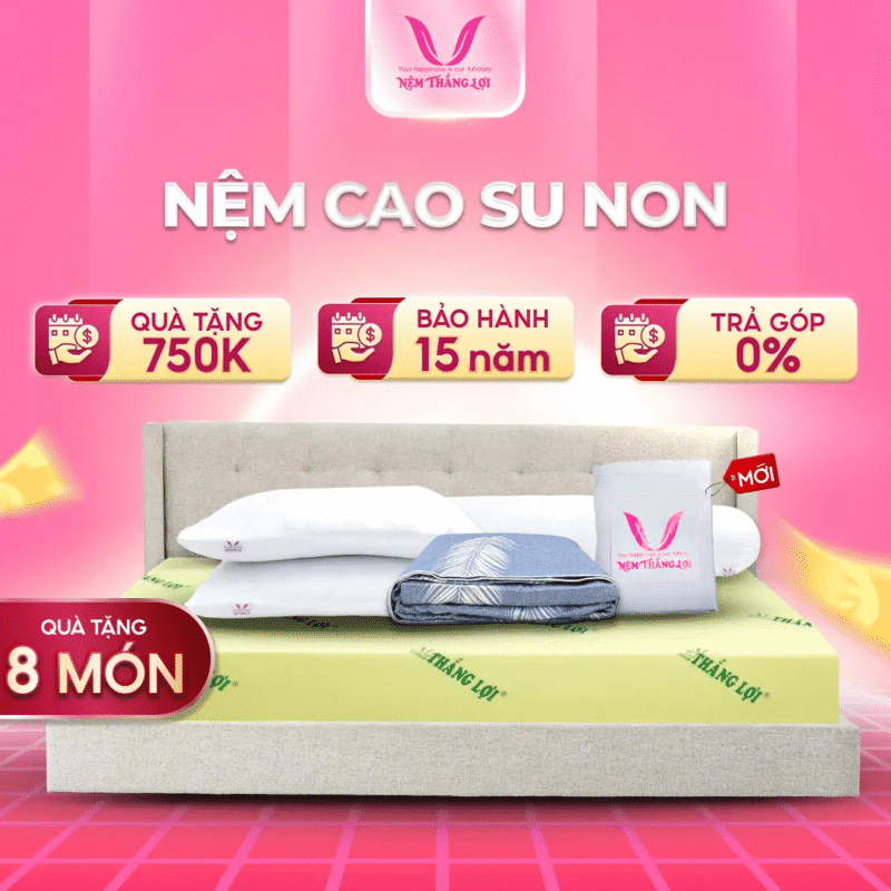 NỆM CAO SU NON THẮNG LỢI