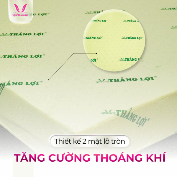 NỆM CAO SU NON THẮNG LỢI - Hình ảnh 4
