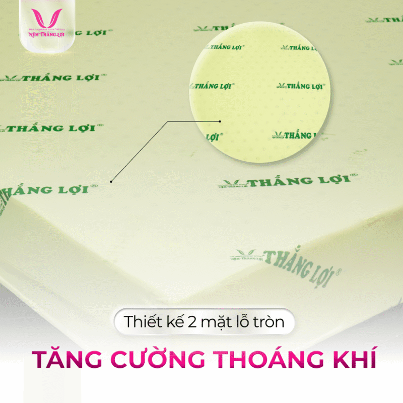 NỆM CAO SU NON THẮNG LỢI - Ảnh 5
