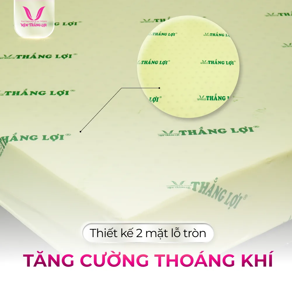 NỆM CAO SU NON THẮNG LỢI - Ảnh 5