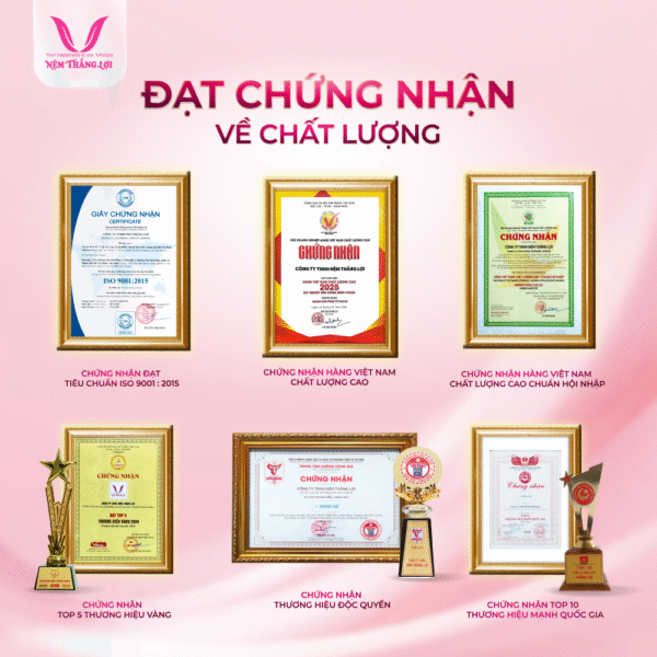 NỆM 100% CAO SU THIÊN NHIÊN THẮNG LỢI TITI – DOUBLE FUNCTION - Hình ảnh 7