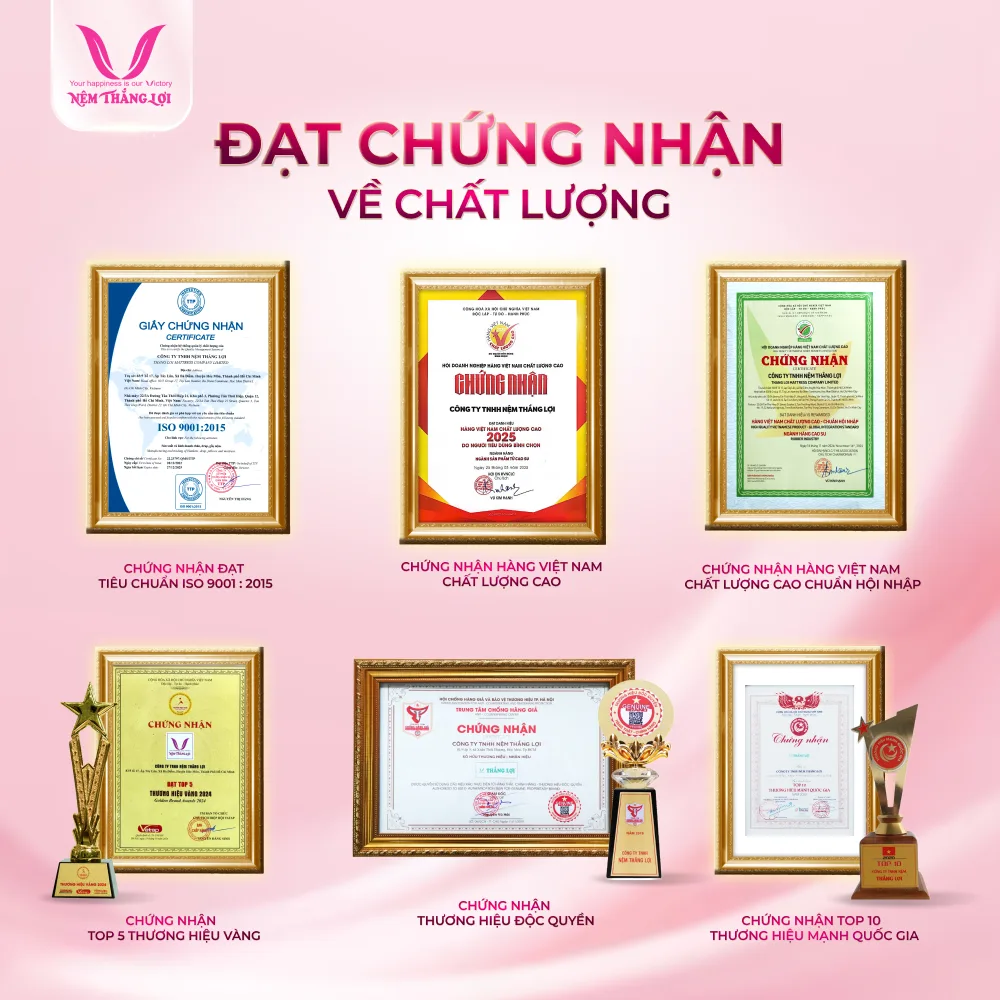NỆM CAO SU NON THẮNG LỢI - Ảnh 7