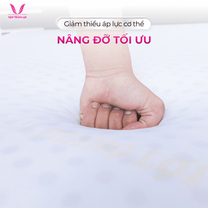 NỆM CAO SU NON CAO CẤP THẮNG LỢI - Ảnh 5