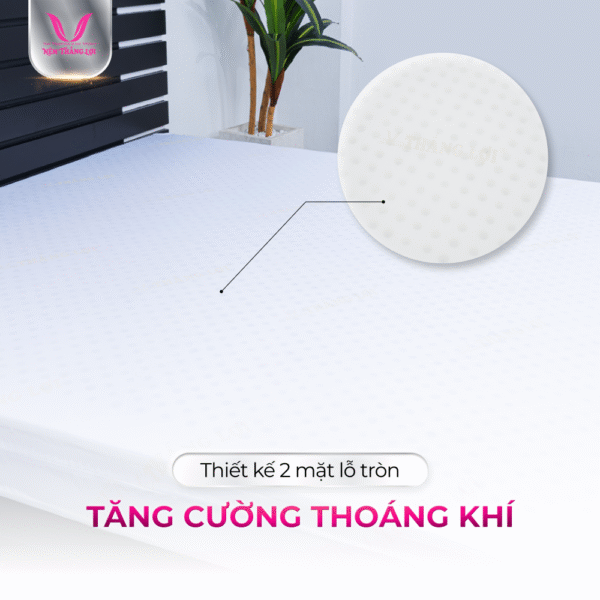 NỆM CAO SU NON CAO CẤP THẮNG LỢI - Hình ảnh 2