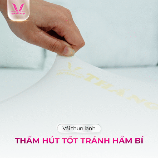 NỆM CAO SU NON CAO CẤP THẮNG LỢI - Hình ảnh 3