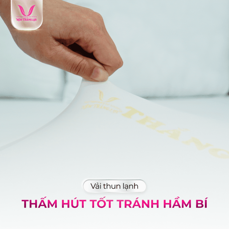 NỆM CAO SU NON CAO CẤP THẮNG LỢI - Ảnh 4