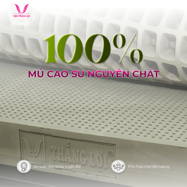 NỆM 100% CAO SU THIÊN NHIÊN THẮNG LỢI BOBO – THAN HOẠT TÍNH - Hình ảnh 2