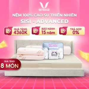 NỆM 100% CAO SU THIÊN NHIÊN THẮNG LỢI SISI – ADVANCED