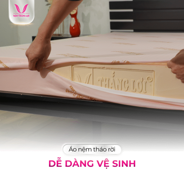 NỆM 100% CAO SU THIÊN NHIÊN THẮNG LỢI SISI – ADVANCED - Hình ảnh 3