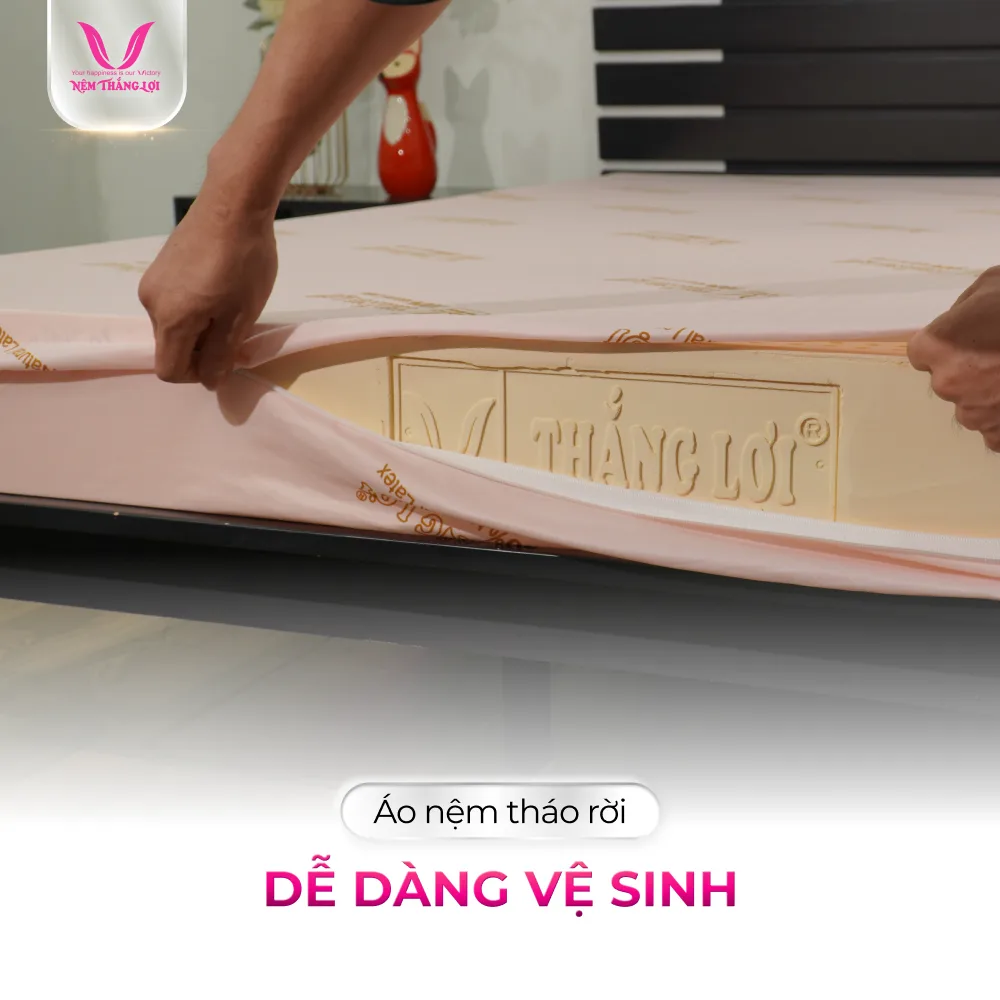 NỆM 100% CAO SU THIÊN NHIÊN THẮNG LỢI SISI – ADVANCED - Ảnh 6