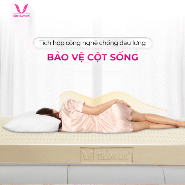 NỆM 100% CAO SU THIÊN NHIÊN THẮNG LỢI SISI – ADVANCED - Hình ảnh 4