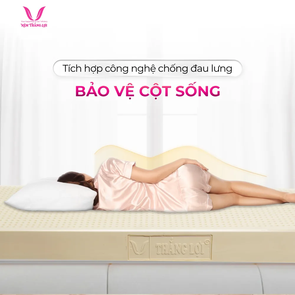 Nệm cao su thiên nhiên SiSi Advanced thoáng khí nâng đỡ cột sống